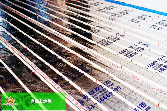 這家大連地?zé)峁静还鉃槟鷰頊嘏?，更帶來?>
                                </div>
                            </div>
                            <div   id=